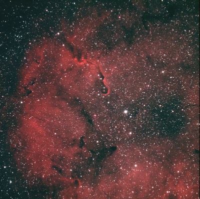 IC1396