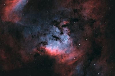 NGC7822 - Astrophotography