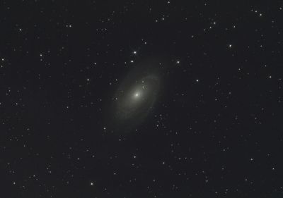 M 81