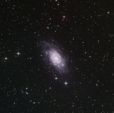 Галактика NGC 2403 - астрофотография