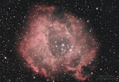 Эмиссионная туманность NGC 2237 "Розетка".  - астрофотография
