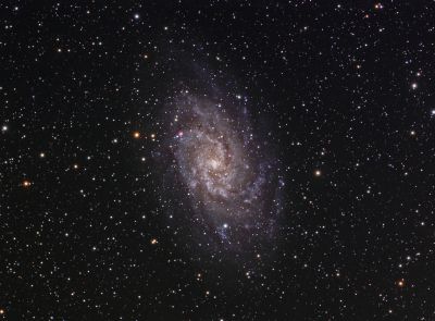 M33