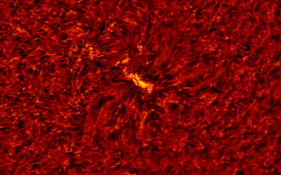 2020.05.01 Sun AR12760 H-Alpha (color)