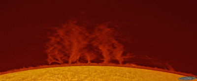 Протуберанец