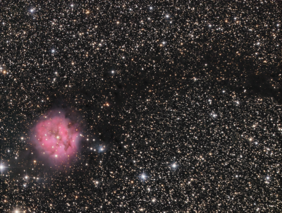 NGC 5146 Cocoon nebula LRGB