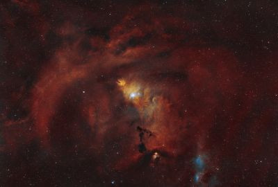 NGC 2264 Christmas Tree Cluster - Astrophotography