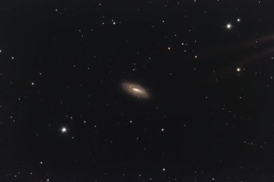 NGC5005