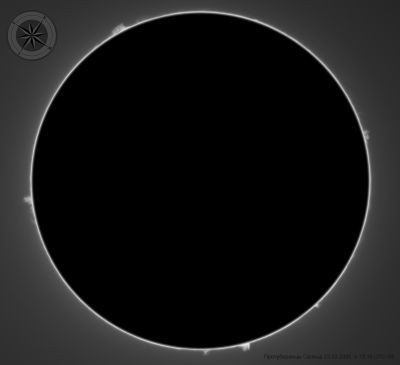 Sun (prominences) 23.03.2026 13:19 UTC+05 - Astrophotography
