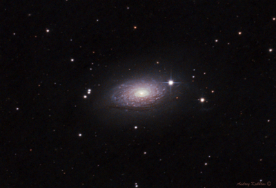 Галактика Подсолнух (М63) 06.03.2024 - астрофотография