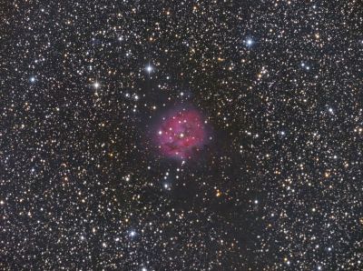 IC 5146 Cocoon