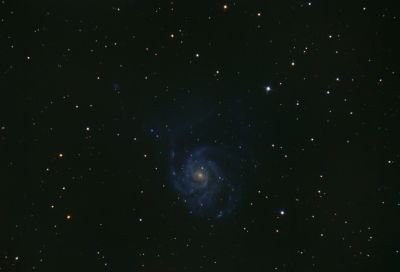 M101 Вертушка - 06.12.20