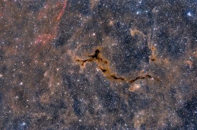 Seahorse Nebula - астрофотография