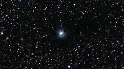 NGC7023 - Iris