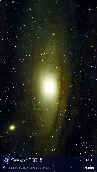M31