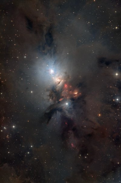 NGC 1333 Embryo - Astrophotography