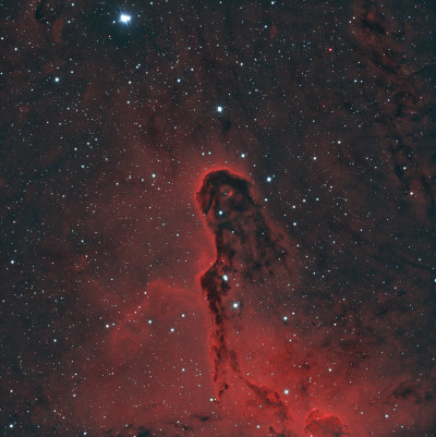 IC 1396