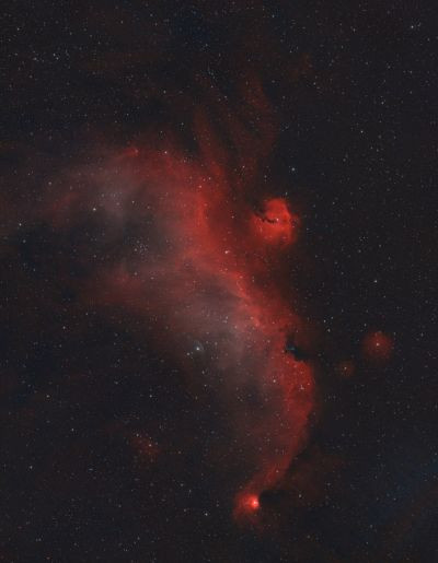 The Seagull Nebula - Astrophotography