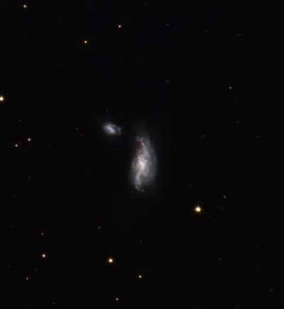 NGC4490 galaxie du cocon - Astrophotography