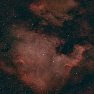 Ngc7000