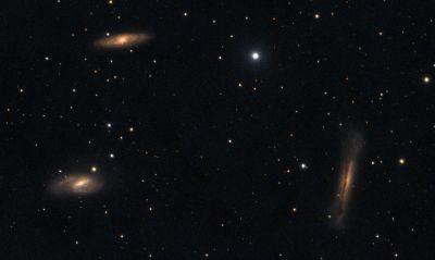 Leo Triplet