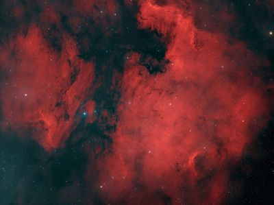 The North America Nebula (NGC 7000) - Astrophotography