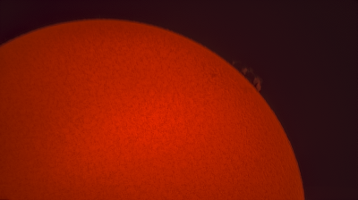Солнце в H-Alpha. Протуберанец 29.06.2020. - астрофотография