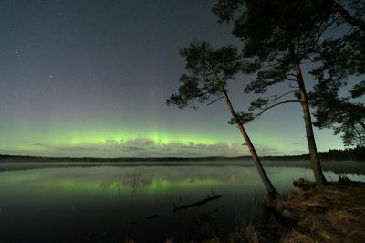 Aurora polar lights 04.2024