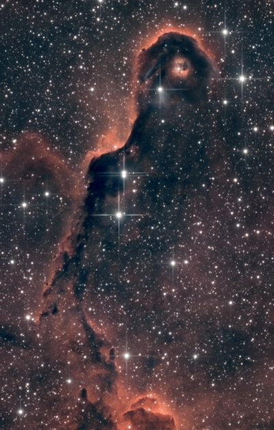 «Хобот слона» (IC 1396A)