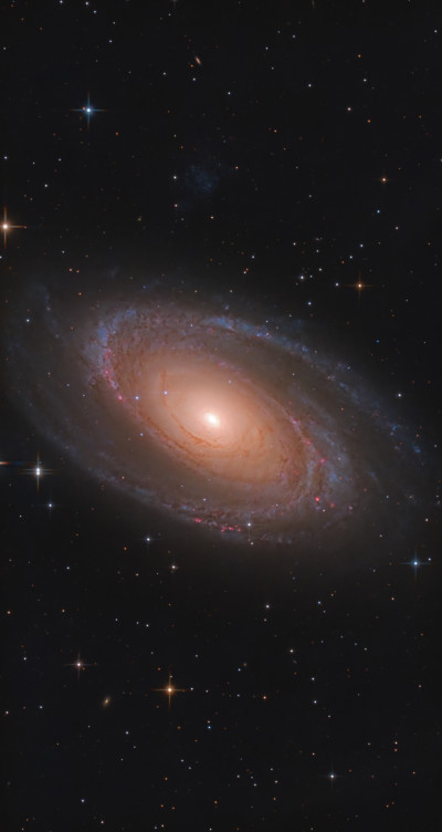 Bode's Galaxy (M 81) - Astrophotography