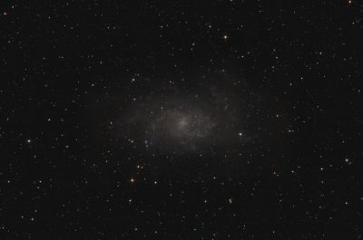 M33