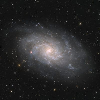 M33