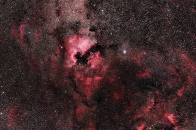 NGC 7000 