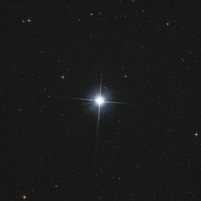 Vega (star)