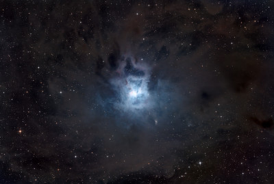 NGC 7023 - Iris Nebula (Iris Nebula) - Astrophotography