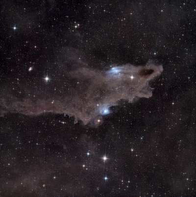 LDN 1235 "Акула" 