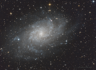 M33