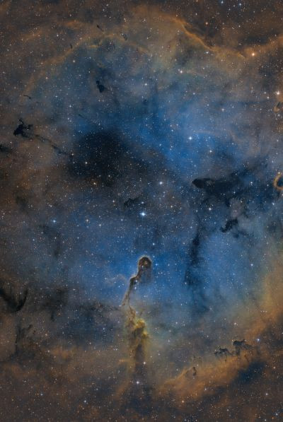 IC 1396 SHO - Astrophotography