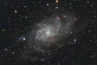M33