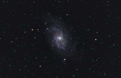 The Triangle Galaxy (M 33, NGC 598) - астрофотография