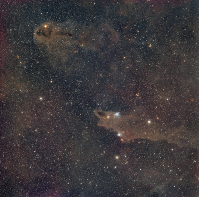 Shark and rotten fish. - Astrophotography