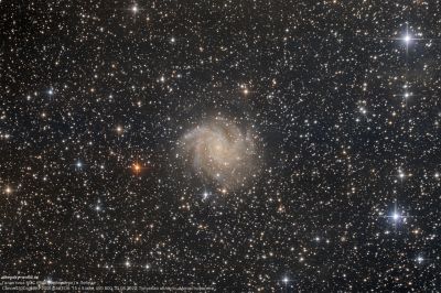 Галактика NGC 6946 (Фейерверк) в Лебеде