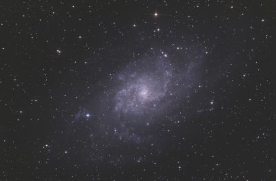 M 33