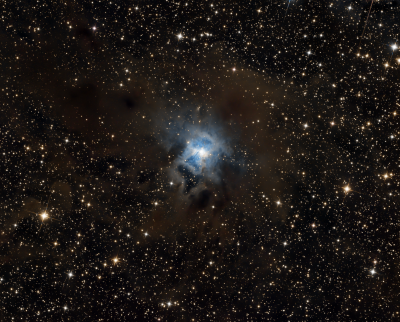 NGC 7023 - Туманность Ирис