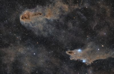 Shark (LDN 1253) vs dead fish (LDN 1251) - Astrophotography