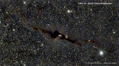 LDN 43 - Cosmic Bat Nebula