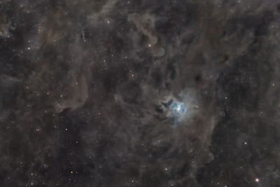 The reflection nebula 