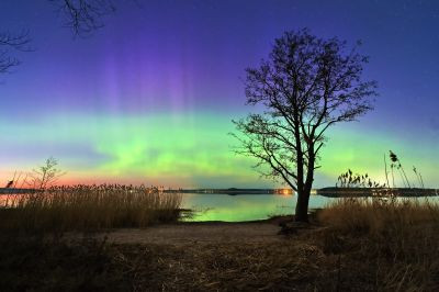 Glow 03.2026 - Astrophotography