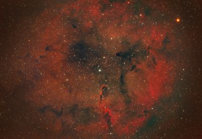 IC 1396  Хобот слона - астрофотография