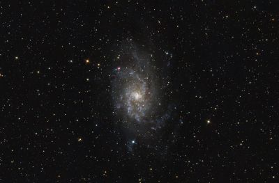 M33