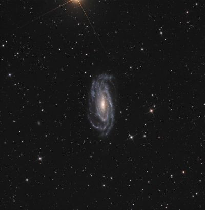 NGC 5033 - Astrophotography